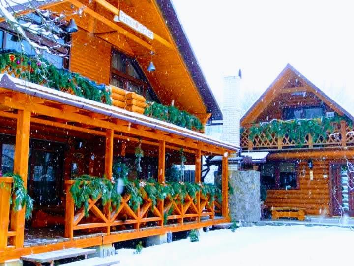 Family Green Sasovka  Exterior photo